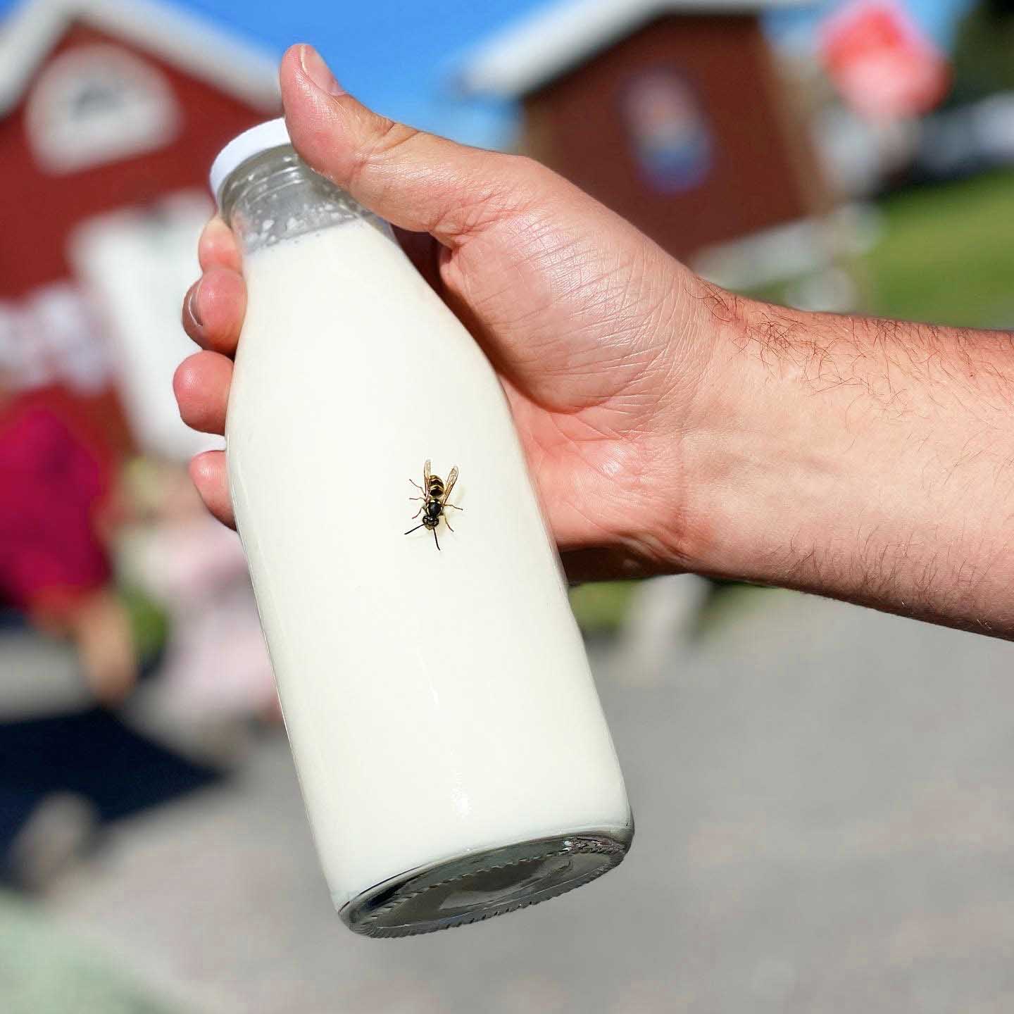 En flaska med mjölk