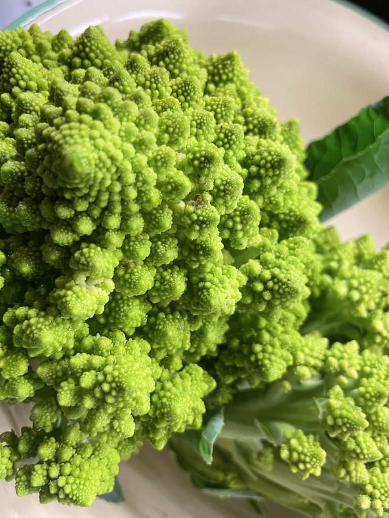 Broccoli