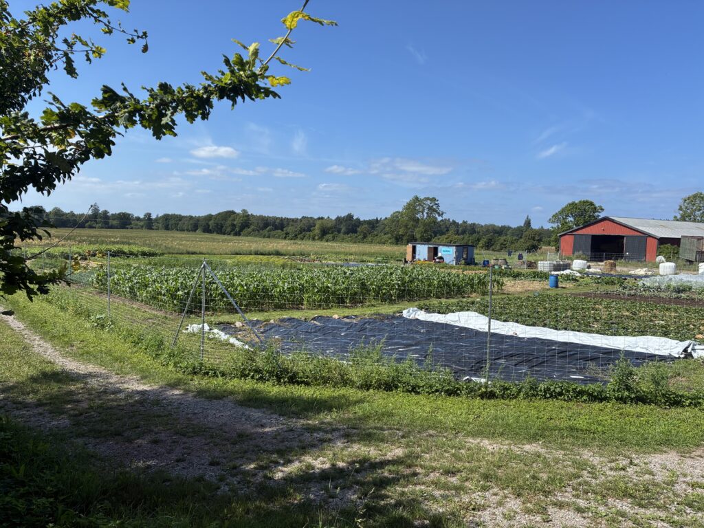 Isgärde Samodling